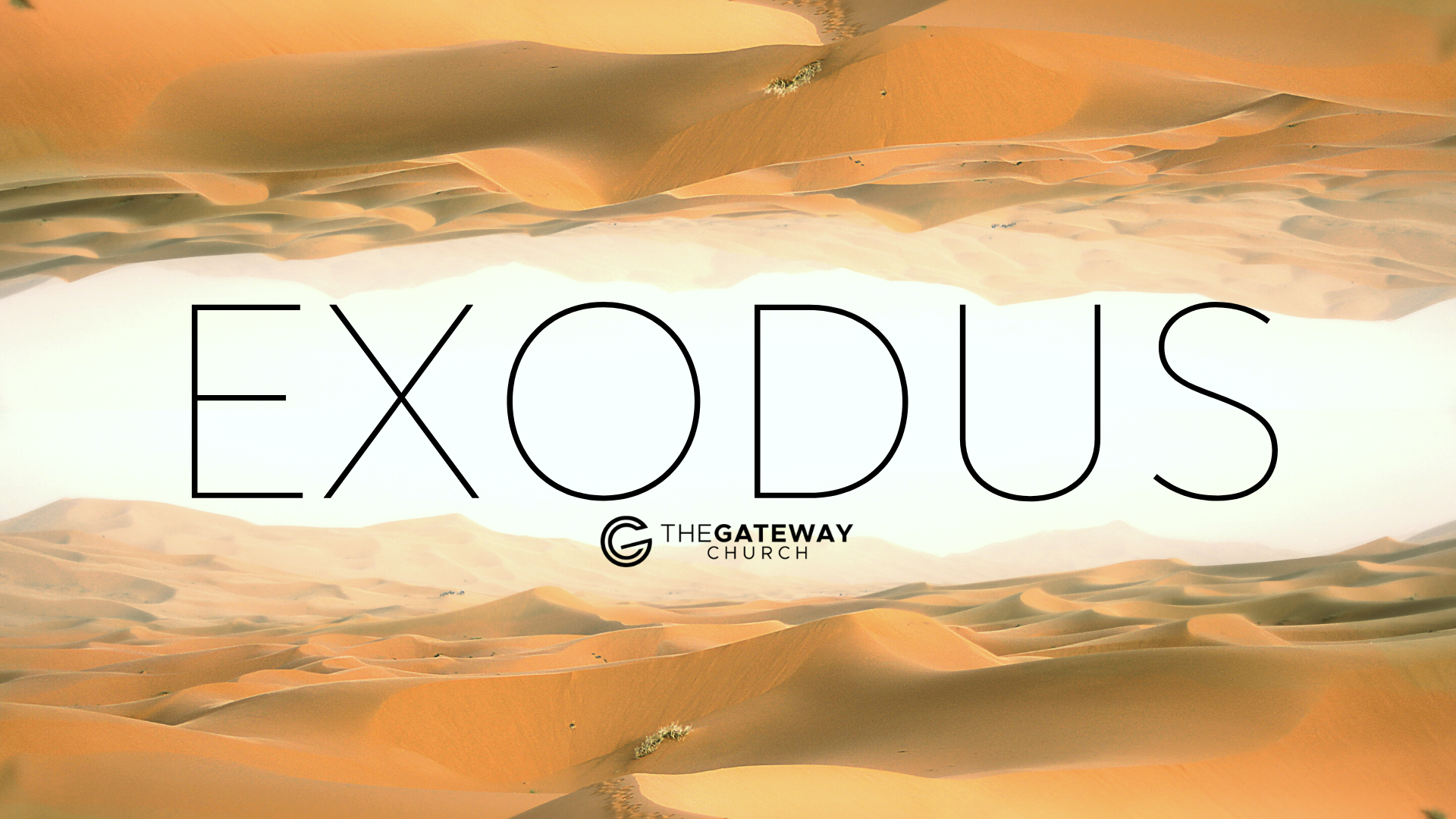 Exodus Week 17 Image